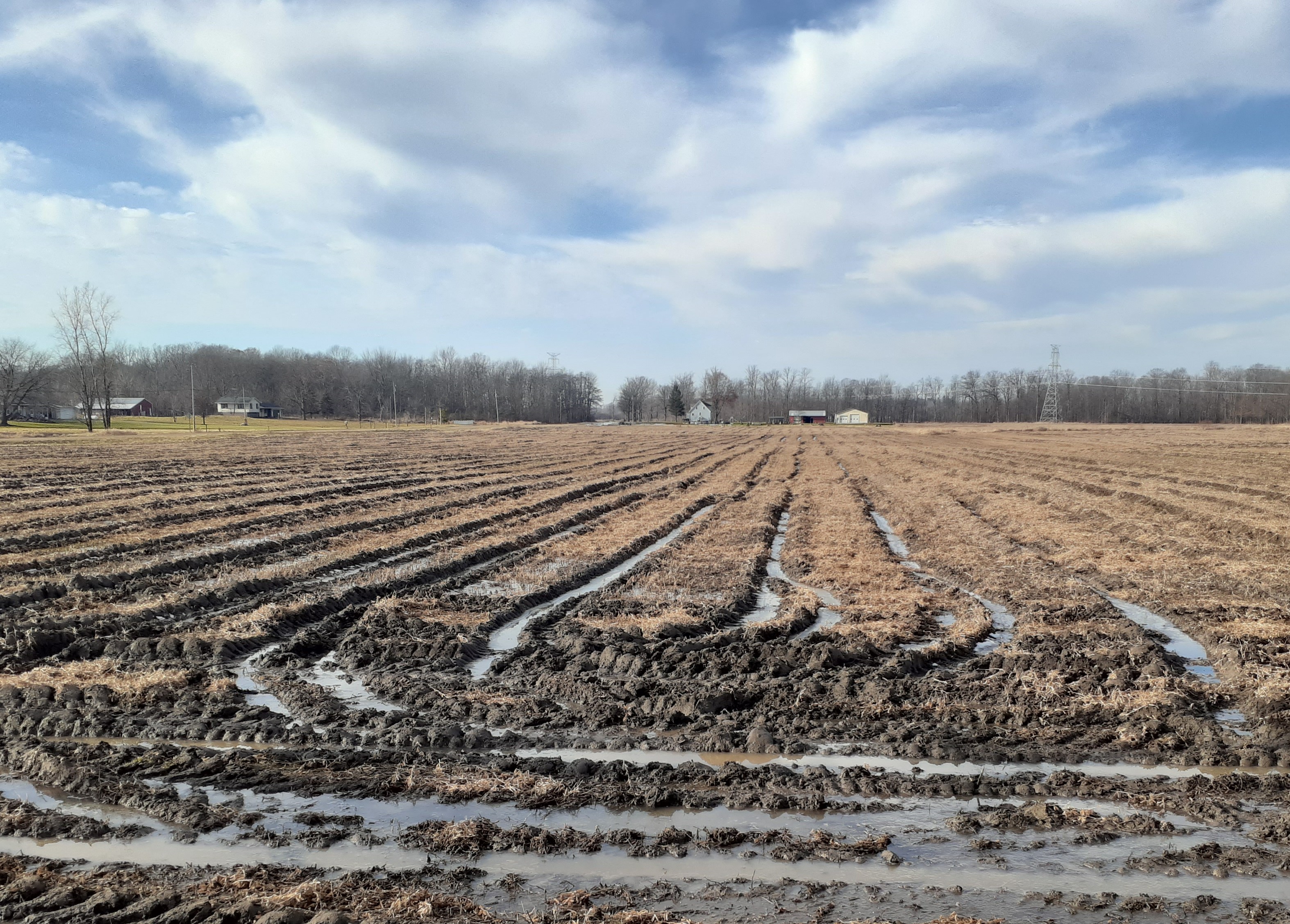 Harvest ruts